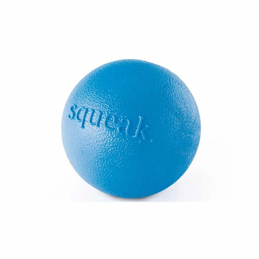 Planet Dog Orbee-Tuff Squeak Ball Dog Toy