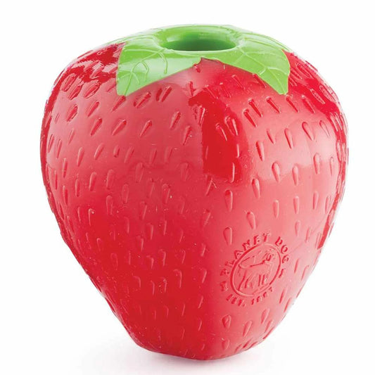 Planet Dog Orbee-Tuff Strawberry Treat-Dispensing Dog Chew Toy Red